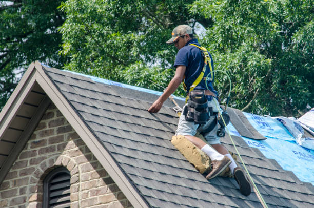Quick and Trustworthy Emergency Roof Repair Services in Lonsdale, MN
